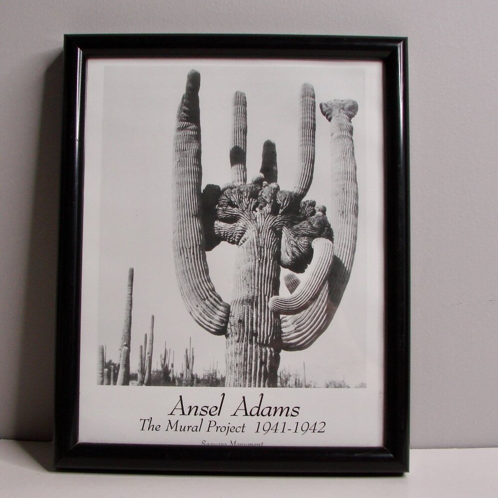 Ansel Adams Saquaro Monument Black and White Photography Print Framed Cacti